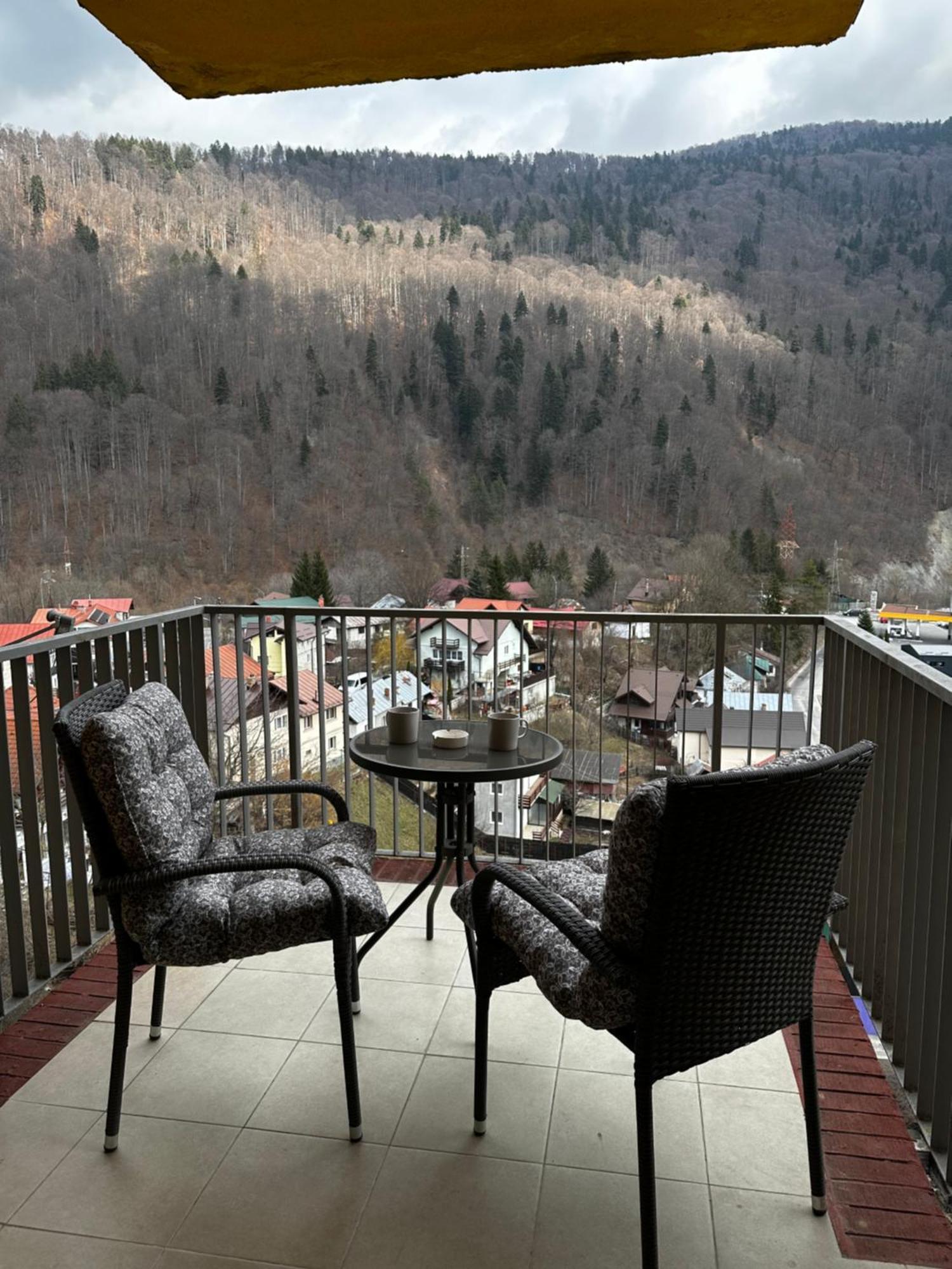 Colette Studio Belleview Sinaia Zewnętrze zdjęcie